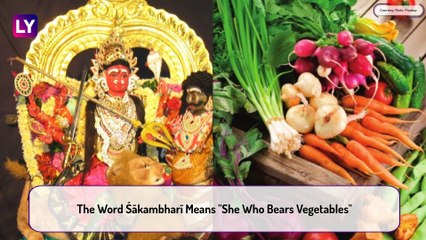 Shakambari Navratri 2020: Date, Muhurat, Significance Of The Nine-Day Festival Of Goddess Parvati
