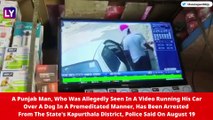 Kapurthala Breeder Who Ran Car Over Dog In Video Arrested, 12 Canines Recovered