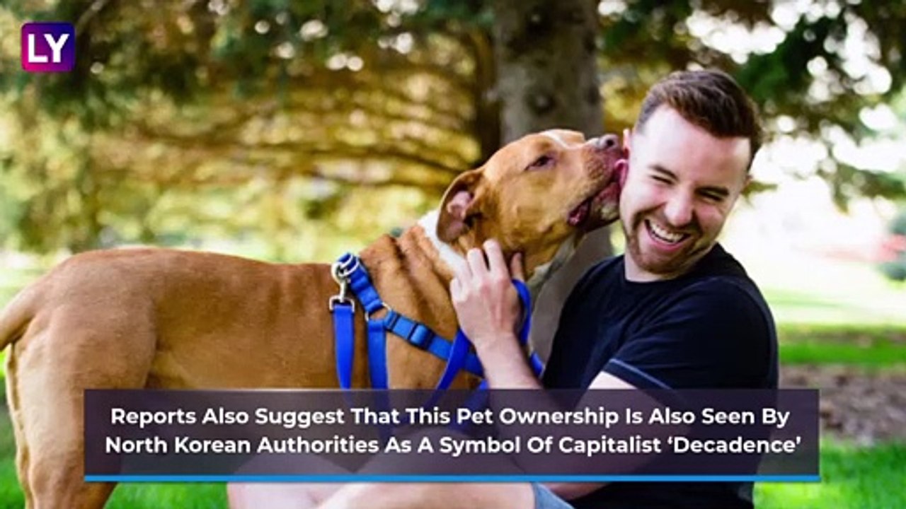 Kim Jong-un Orders North Koreans To Hand Over Pet Dogs To Supply Restaurants Amid Food Shortages