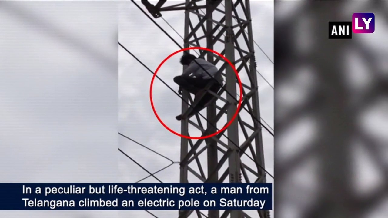 Telangana: Man Climbs Electric Pole After Police Calls Him for Investigation