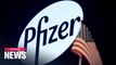 Pfizer urges patience in COVID-19 vaccine late-stage trial