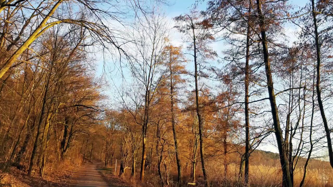 Sonnenuntergang an der Havel Berlin