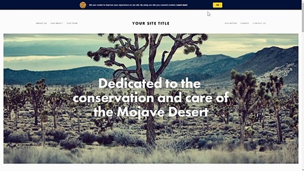 How to Add Cookie Consent widget to Webflow (2020)