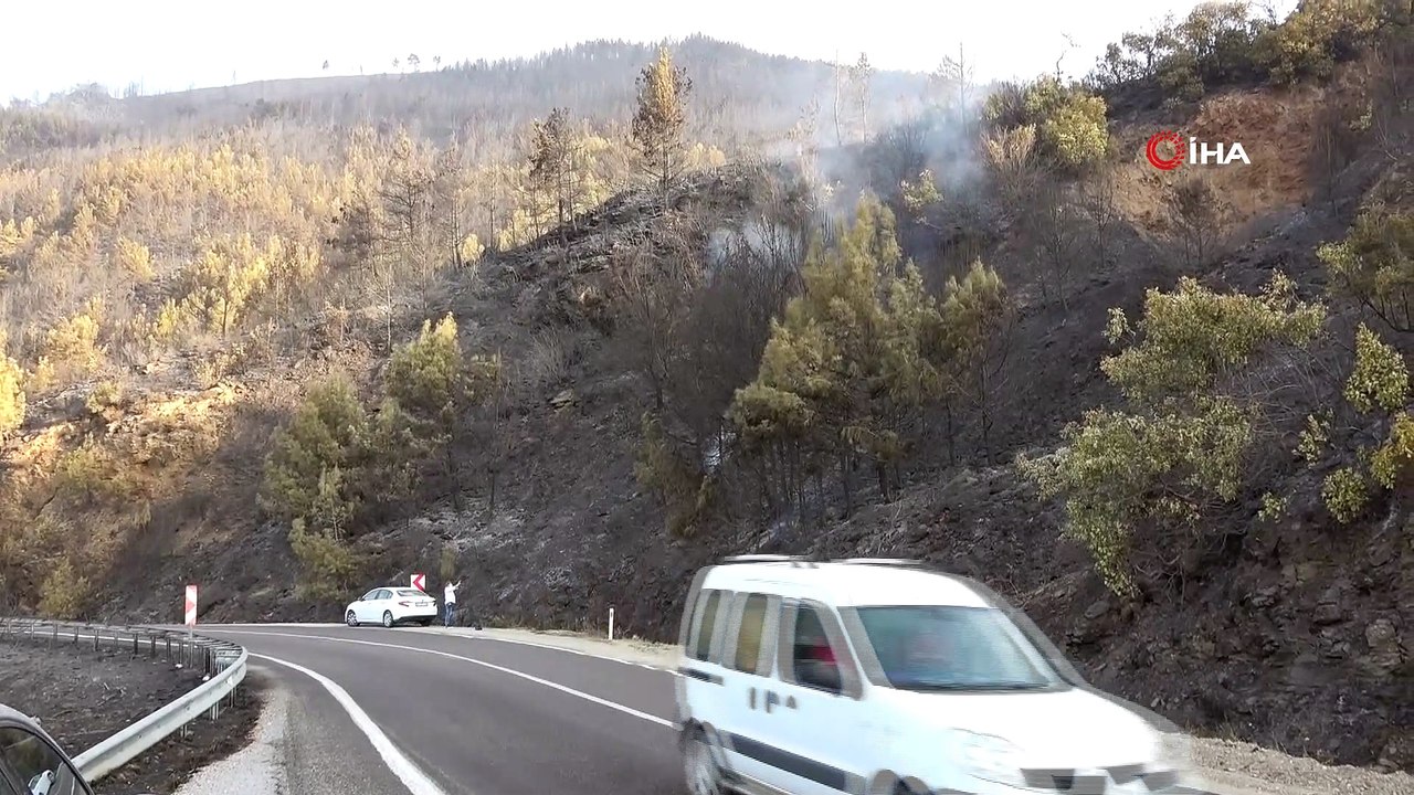 Mersin'deki orman yangınında soğutma çalışmaları sürüyor