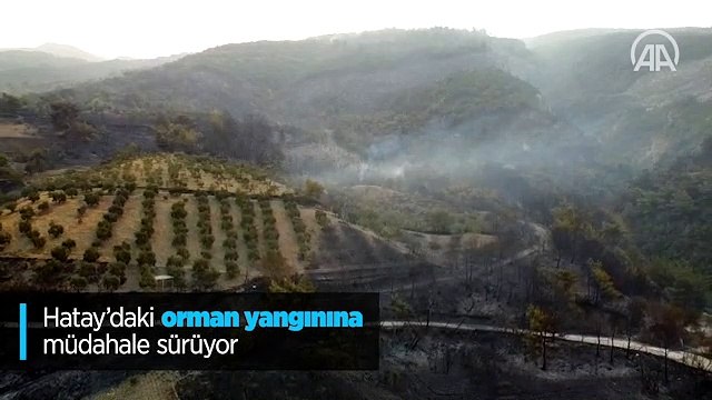 Hatay'daki orman yangınına müdahale sürüyor