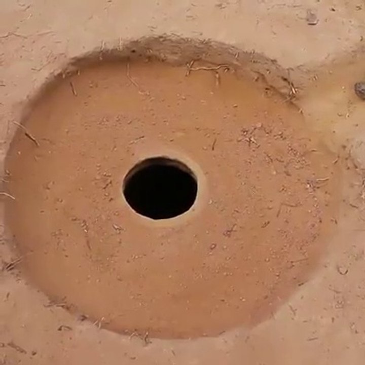 मैंने सांप को पकड़ लिया और सांप को पकड़ लिया- 我抓住了蛇，也抓住了蛇- J'ai attrapé le serpent et attrapé le serpent - أمسكت بالثعبان وأمسكت به-