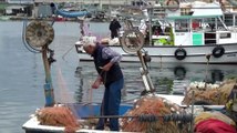 Kıyı balıkçıları, balık çeşitlerinin yok olmasından şikayetçi