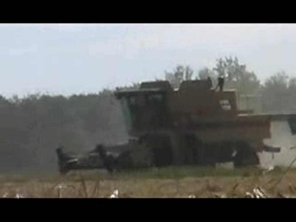 Harvesting
