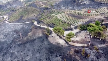 Hatay'da yangının ardından geriye bu görüntüler kaldı