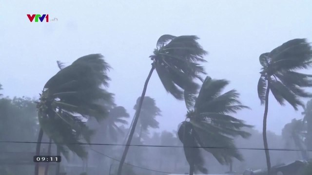 태풍 '몰라베' 베트남 강타...최소 28명 사망·실종 / YTN