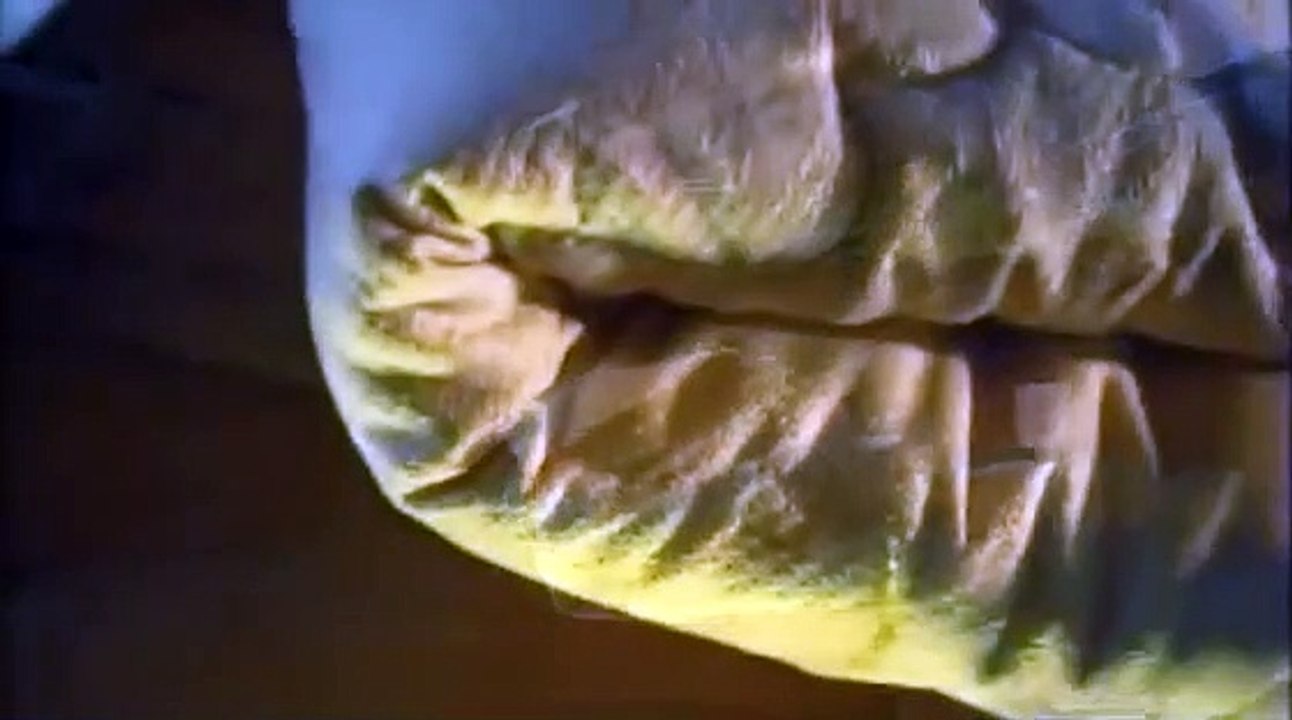 How Its Made - 592 Adjustable Beds