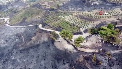 Hatay'da yangının ardından geriye bu görüntüler kaldı
