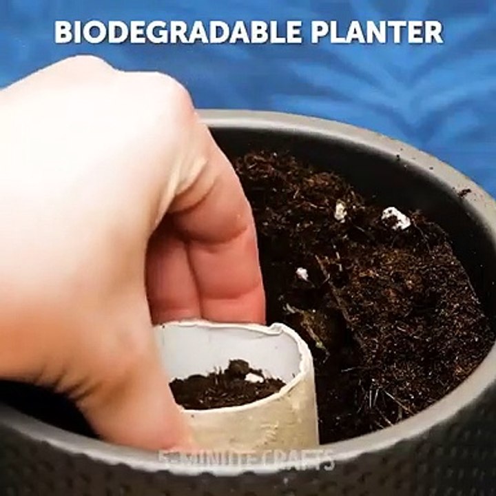 Do it YourSelf Videos 153