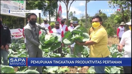 Pemupukan Berimbang Tingkatkan Produktivitas Pertanian
