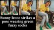 Sunny leone strikes a pose wearing green fuzzy socks
