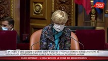 Filière betterave : le Sénat autorise le retour des néonicotinoïdes - Les matins du Sénat (28/10/2020)