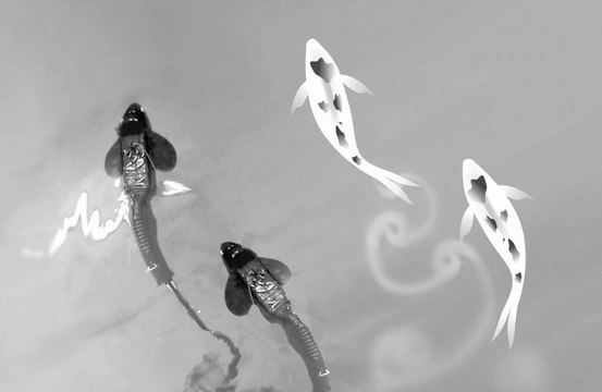 Fish robots have helped scientists discover why fish school together.