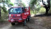 Manavgat'a 3 günde 6 orman yangını: Asırlık çam ağacı yangını ucuz atlattı