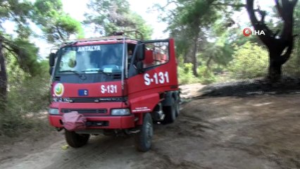 Manavgat'a 3 günde 6 orman yangını: Asırlık çam ağacı yangını ucuz atlattı