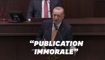 Erdogan s'en prend aux 