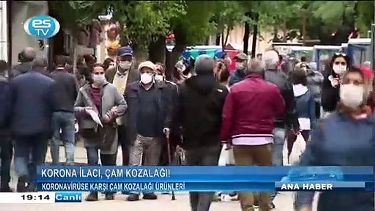 Koronavirüse karşı çam kozalağı ürünler