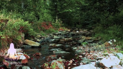 ᐉ Música de Meditación y Relajación Espiritual de Cuerpo & Alma