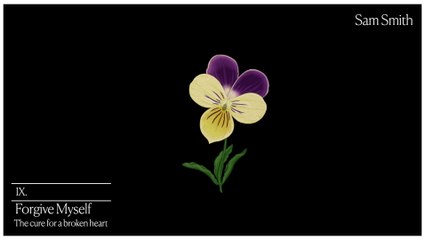 Sam Smith - Forgive Myself