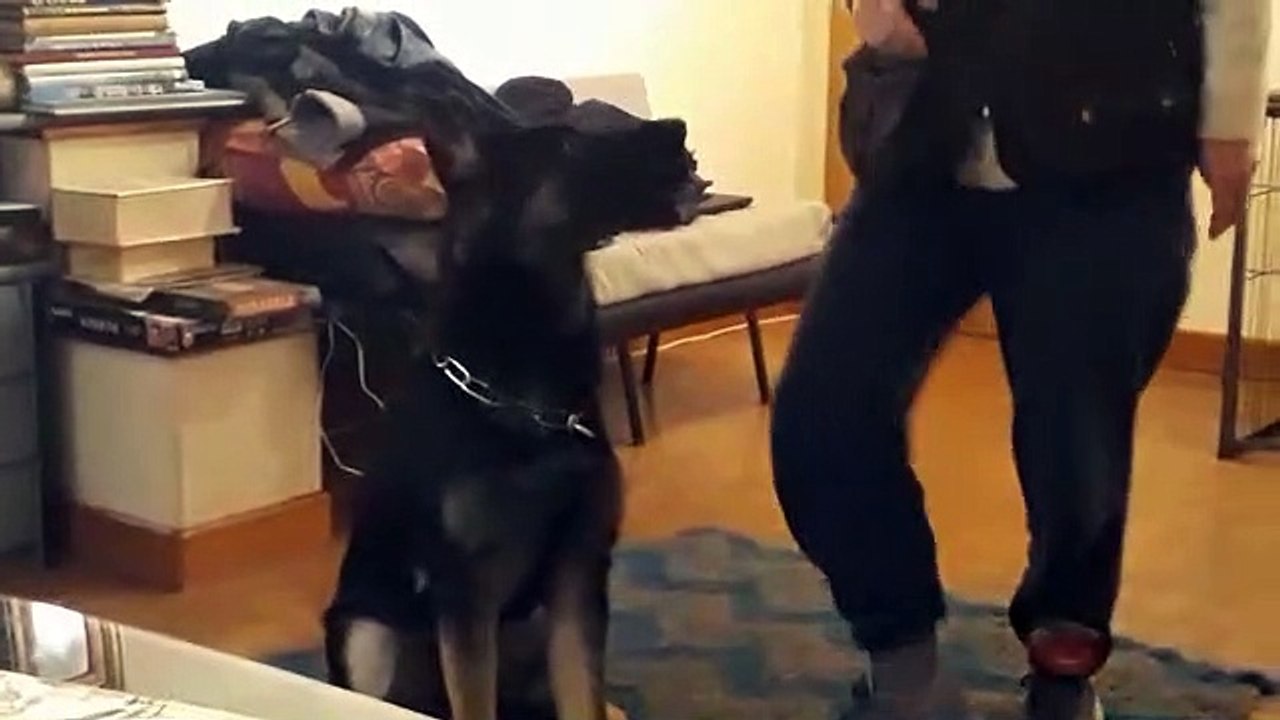 Fin