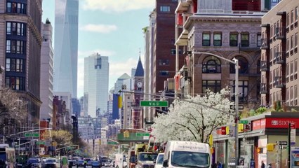 This Multifunctional Space Is a Playroom for Adults
