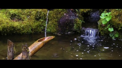 Présentation du Shower Power d'Ampere