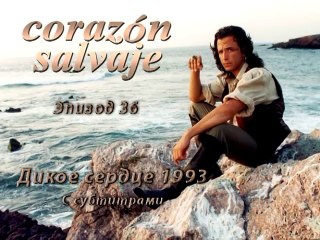 Дикое сердце (1993) 36