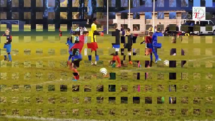 Programme Educatif Fédéral (PEF)