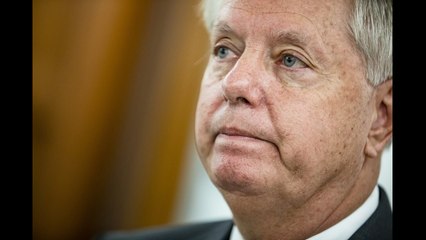 'Pathetic' Lincoln Project video calls Lindsey Graham a sniveling weak