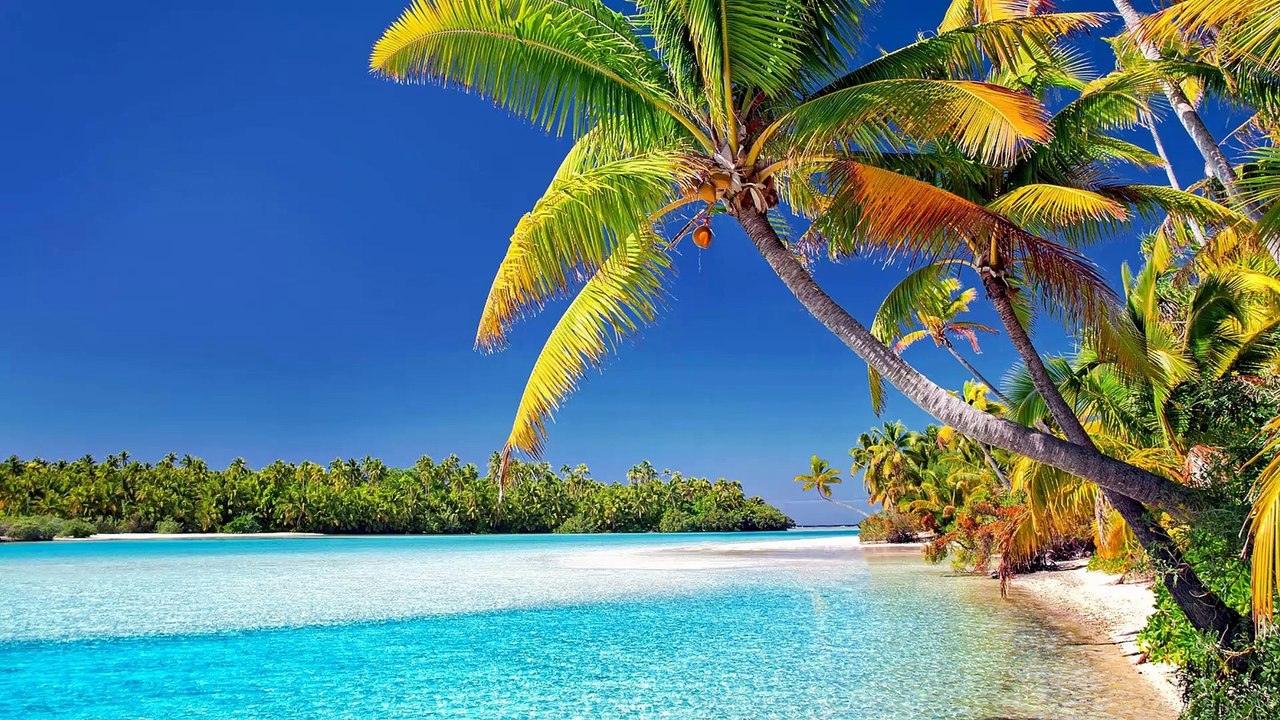 YO SOY Decretos | Afirmaciones de Prosperidad | Afirmaciones Positivas - Salud y Bienestar 365 