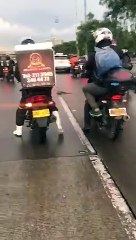 Gigantesca serpiente en plena carrera 30 en Bogotá