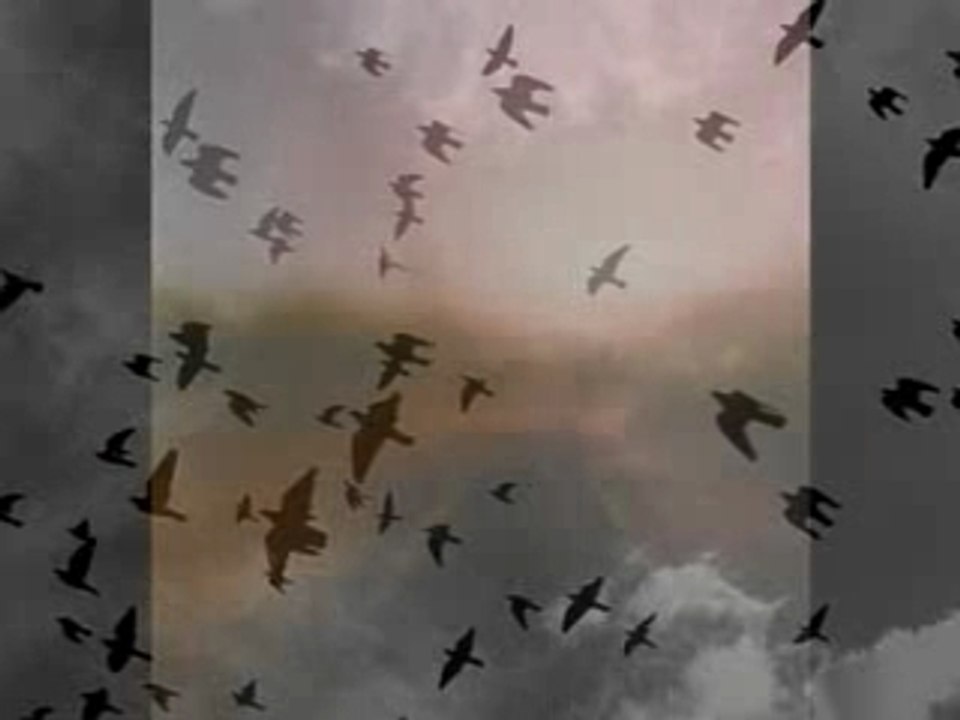 Les Anges/Libera - Going Home