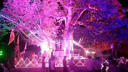 कल्प-वृक्ष के वहाँ किये जायेंगे कल 51000 दीपक प्रज्वलित