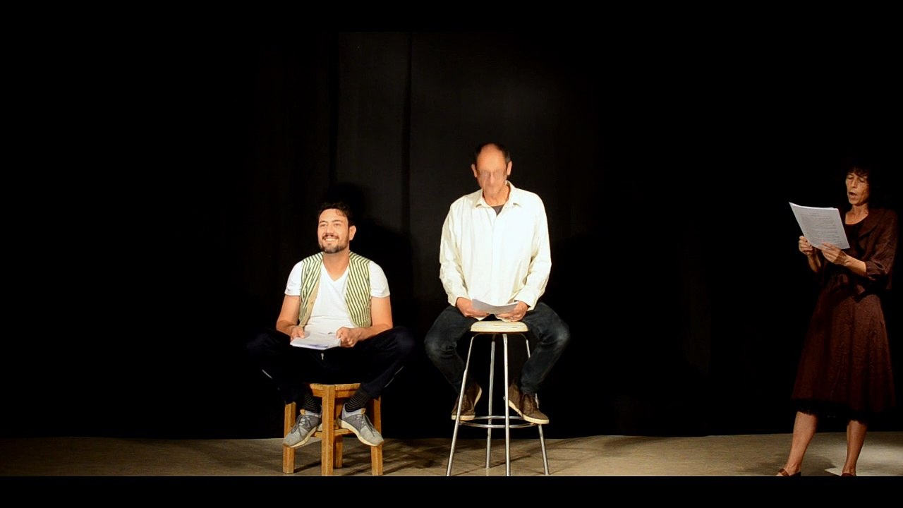 "Don Quichotte",  lecture théâtrale, adaptation du roman  Miguel de Cervantès par Véronique LOMBARD, 2020