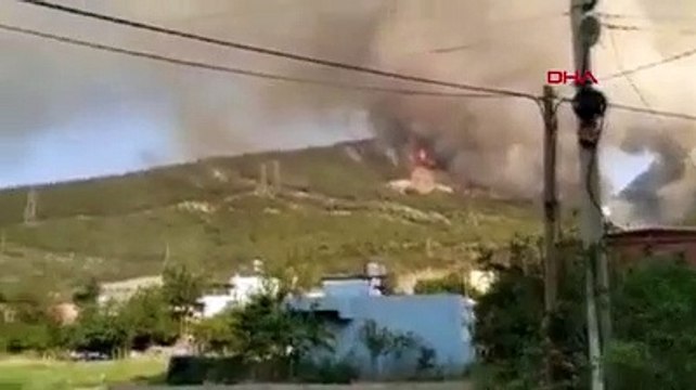 Hatay'daki yangında kundaklama iddiası: ''Sözlerimin arkasındayım''