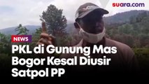 PKL di Gunung Mas Bogor Kesal Diusir Satpol PP: Tiap Minggu Kami Setor!