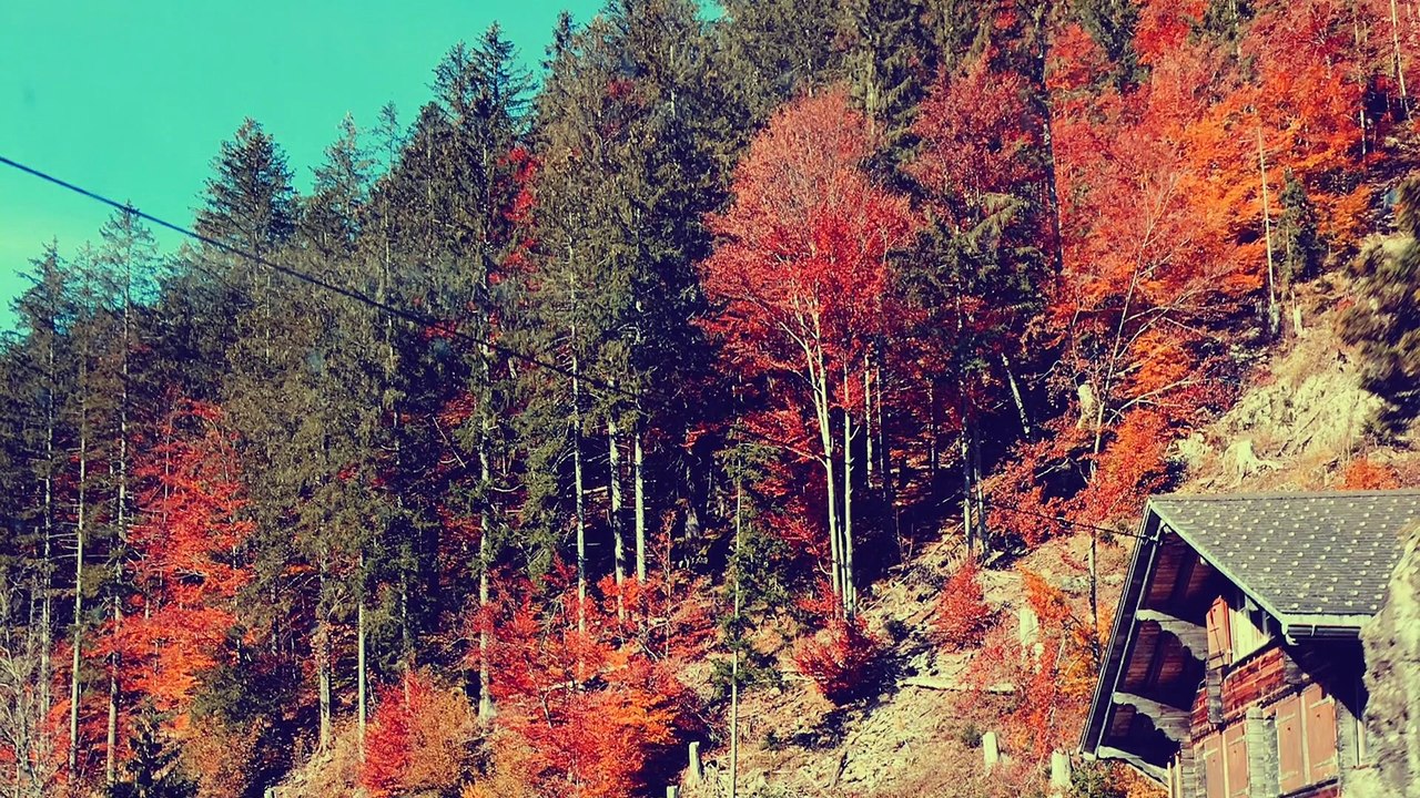 BMW Z4 E85 Furka, Grimsel, Susten