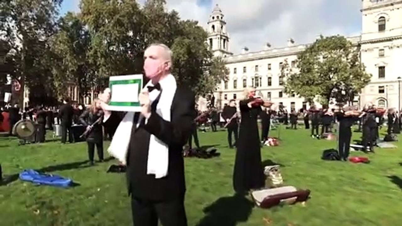 Covid: Legendäre britische Livemusik-Szene sucht ihre Stimme