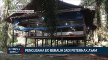 Pengusaha EO Beralih Jadi Peternak Ayam