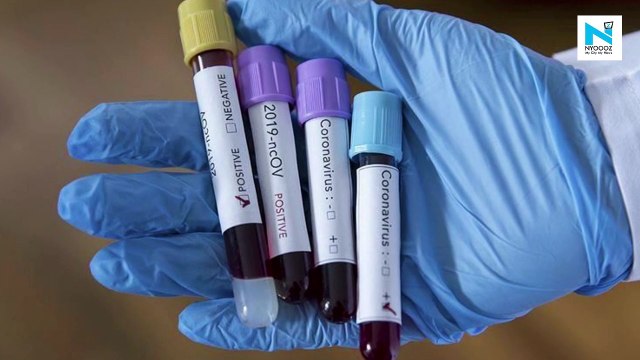 India’s average daily COVID tests in past 6 weeks at about 11 lakh: Health Ministry