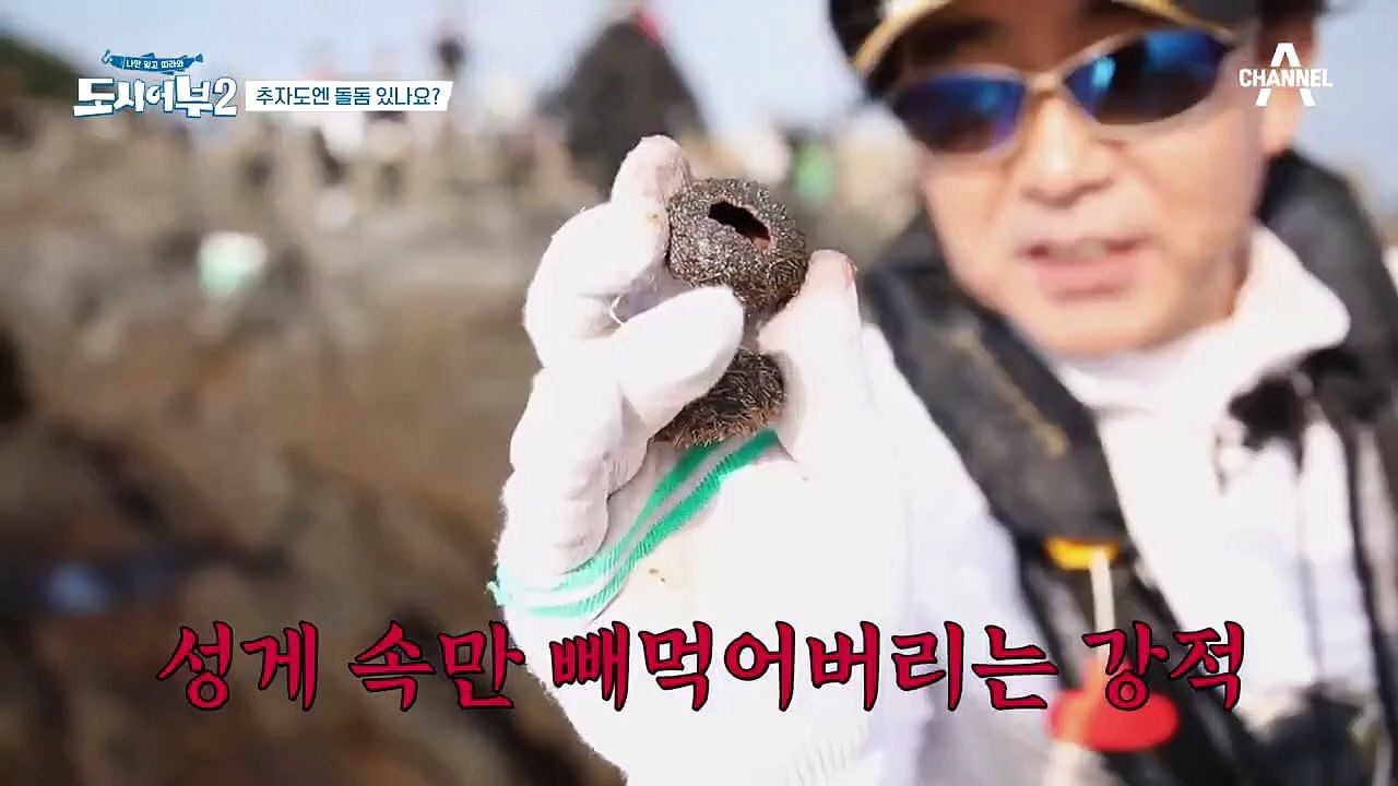 명인을 끌고 가버리는 괴수;; 초대형 입질로 박 프로를 낚은 건 분명 돌돔..?!