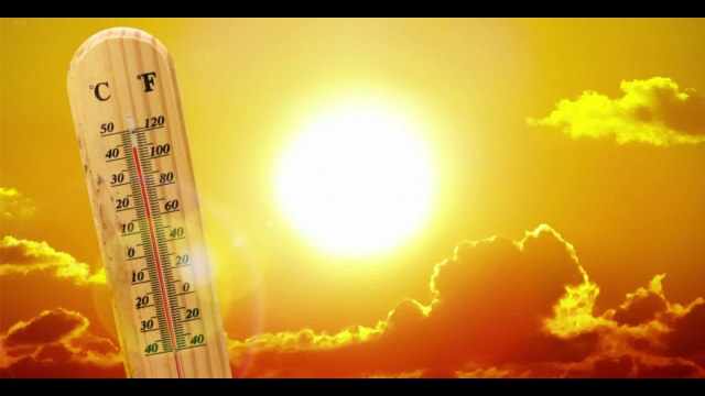 How to Cure Depression /Stress/Anxiety with Blue Butterfly Pea Energy Drink Urdu/Hindi/Eng/Sub