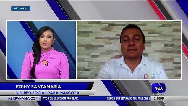 Creación de la primera red social para mascotas - Nex Noticias