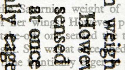 Here Are Some Common Phrases & Words You Might Be Saying Incorrectly!