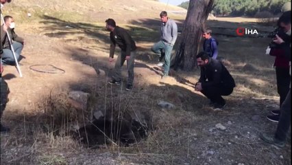 Sarıkamış’ta Yol Kenarında Yaralı Ayı Bulundu