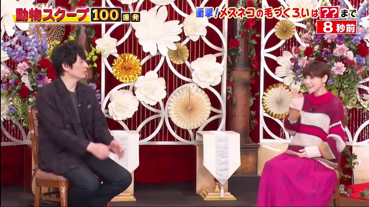 動物スクープ１００連発 2020年10月29日 激カワ＆爆笑！犬猫ペット　行動…ご主人のギモン...
